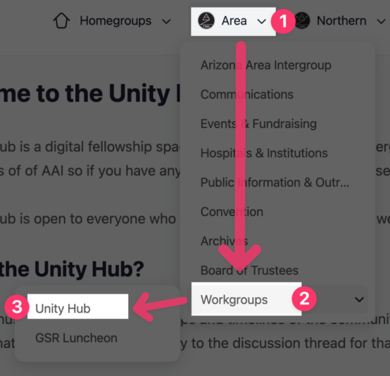 2026.08.30 Unity Hub - Brave Browser