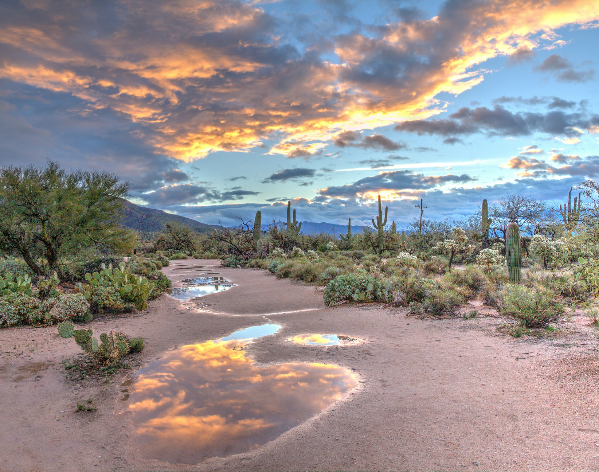 Arizona Area Intergroup