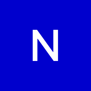 Group logo of Northern Arizona District